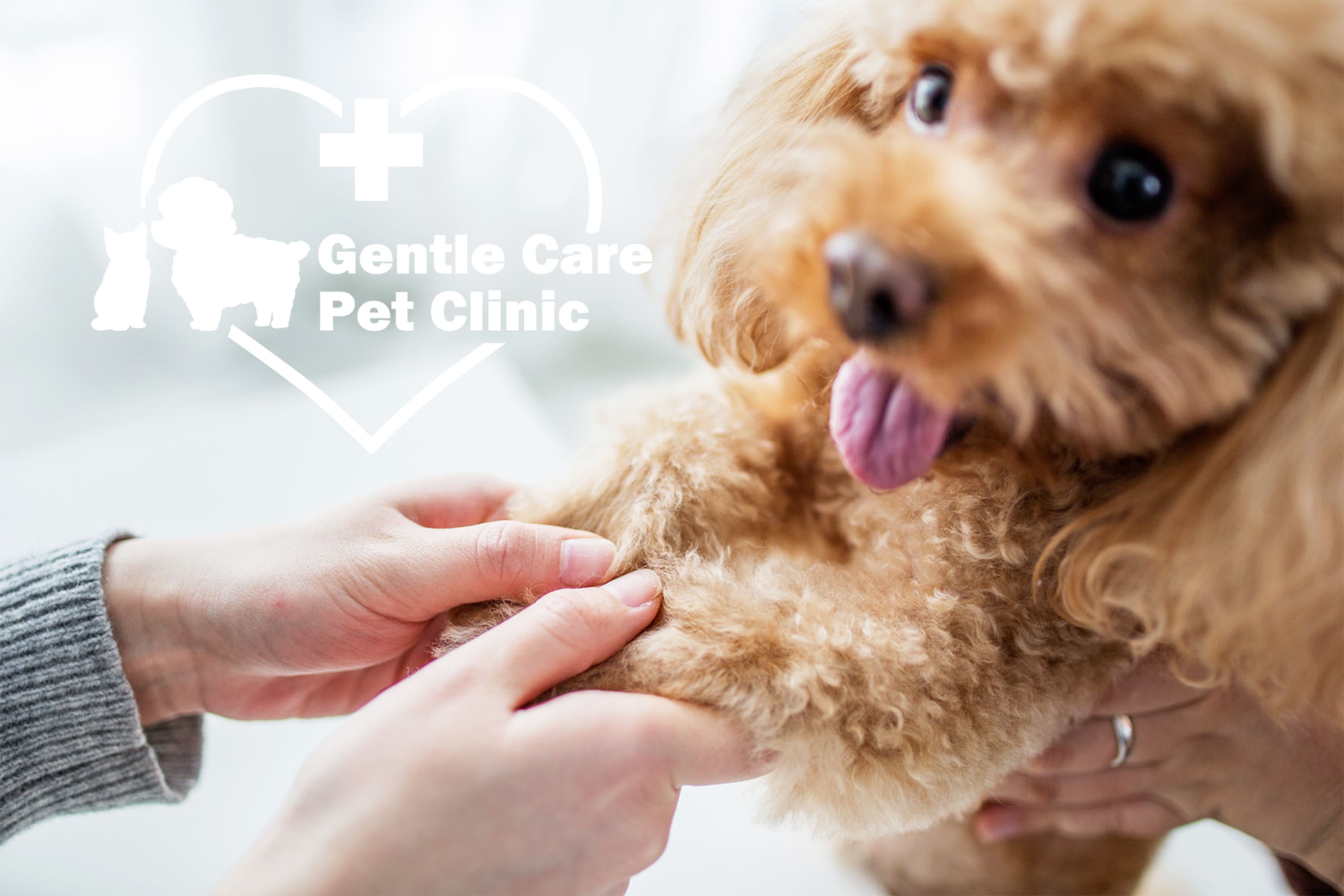 Gentle Care Pet Clinic
