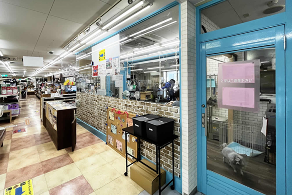 フィッシュランドイシハラ店舗入口