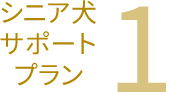 シニア犬サポートプラン1