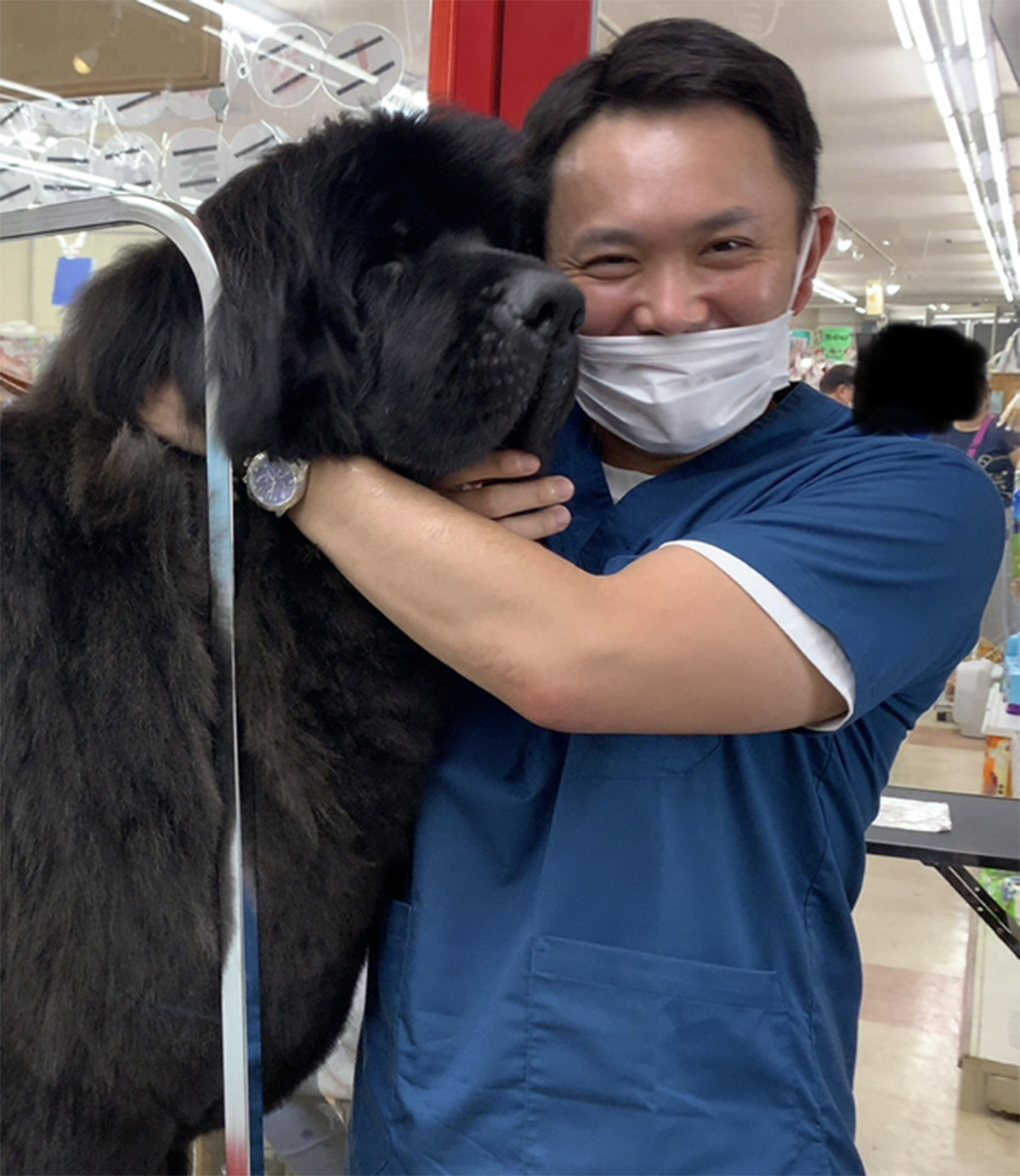 獣医