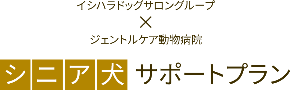 イシハラドッグサロングループ×ジェントルケア動物病院シニア犬サポートプラン